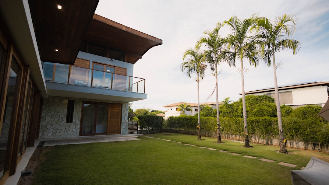 Modern home with palm trees